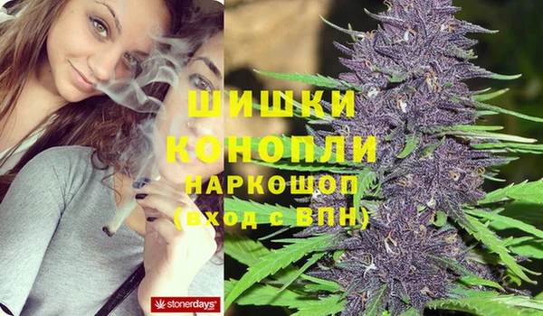 герыч Арсеньев