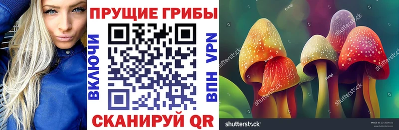 кракен зеркало  Приморско-Ахтарск  Галлюциногенные грибы GOLDEN TEACHER 