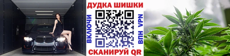 Бошки Шишки план  Приморско-Ахтарск 